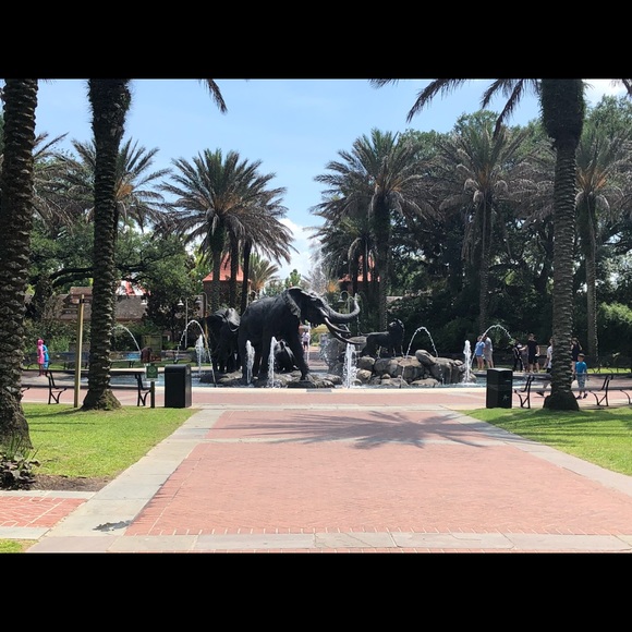 Meet your Posher, Sapphire - Picture 1 of 1